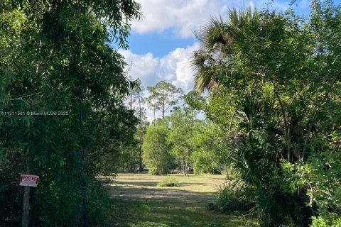 Land in Clewiston, Florida № 186098 - photo 7