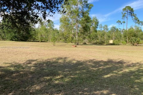 Terrain à vendre à Clewiston, Floride № 186098 - photo 6