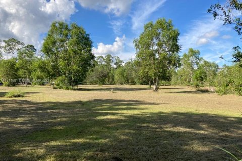 Terrain à vendre à Clewiston, Floride № 186098 - photo 3