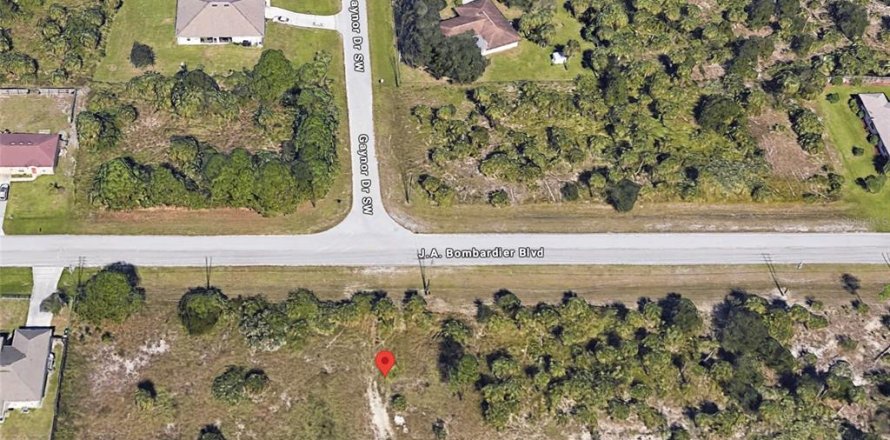 Land in Palm Bay, Florida № 1383713