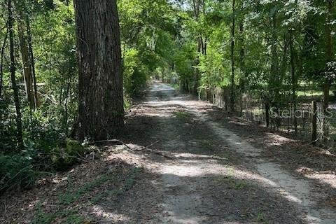 Land in Bushnell, Florida № 1383712 - photo 5