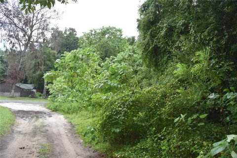 Terrain à vendre à Ocala, Floride № 1314382 - photo 4