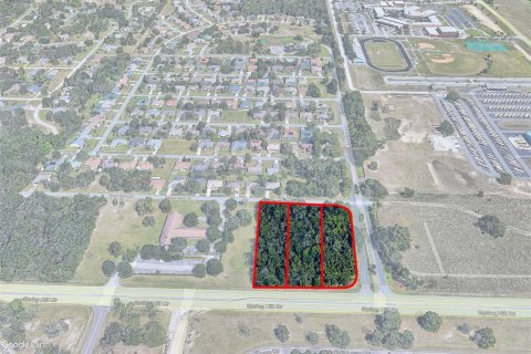 Land in Brooksville, Florida № 1277378 - photo 3