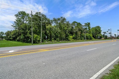 Land in Brooksville, Florida № 1277378 - photo 15