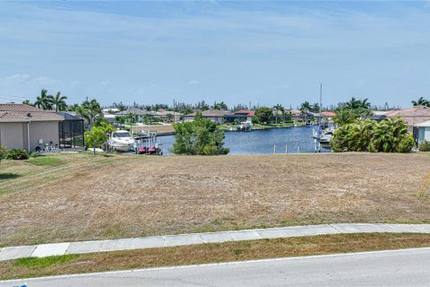 Terrain à vendre à Punta Gorda, Floride № 1193081 - photo 2