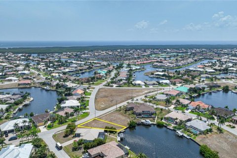 Terrain à vendre à Punta Gorda, Floride № 1193081 - photo 8