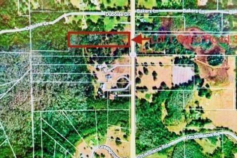 Terreno en venta en Clermont, Florida № 1244272 - foto 6