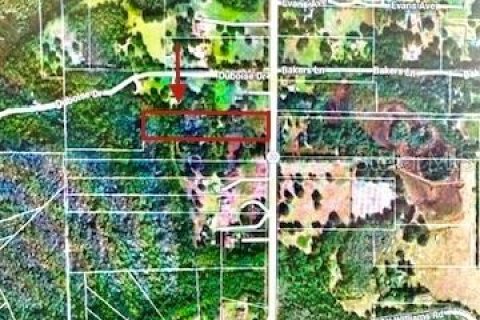 Terreno en venta en Clermont, Florida № 1244272 - foto 7