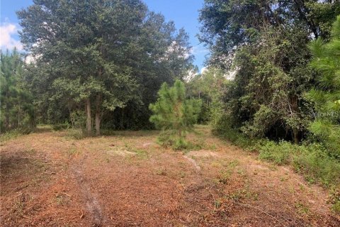 Terreno en venta en Clermont, Florida № 1244272 - foto 2