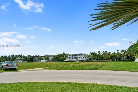 Terrain à vendre à Coral Gables, Floride № 1007069 - photo 11