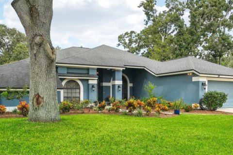 House in Plant City, Florida 4 bedrooms, 249.81 sq.m. № 1351487 - photo 2