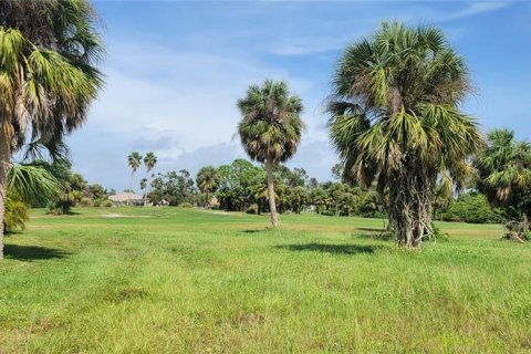 Land in Rotonda, Florida № 790186 - photo 1