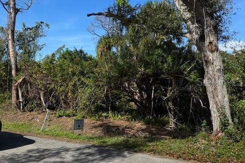 Terreno en venta en Englewood, Florida № 970726 - foto 3