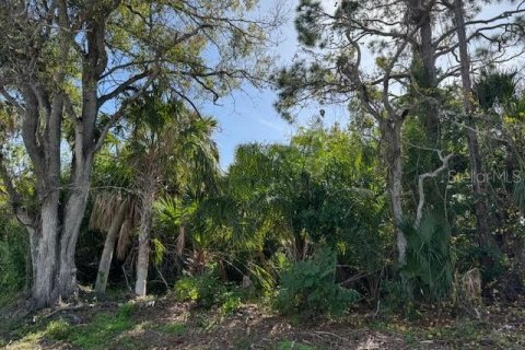 Terreno en venta en Englewood, Florida № 970726 - foto 2