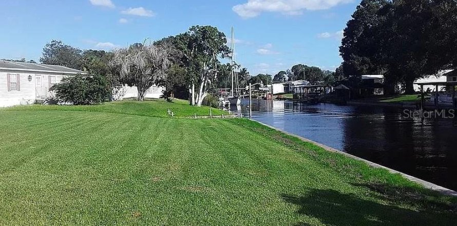 Terrain à Okeechobee, Floride № 1008418