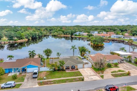 Villa ou maison à vendre à Holiday, Floride: 2 chambres, 127.55 m2 № 1254380 - photo 8