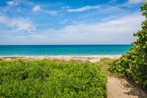 Townhouse in Jupiter, Florida 3 bedrooms, 192.12 sq.m. № 1224675 - photo 11