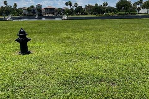 Купить земельный участок в Палм-Кост, Флорида № 769464 - фото 9
