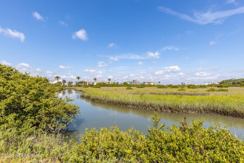 Land in Saint Augustine, Florida № 767301 - photo 2