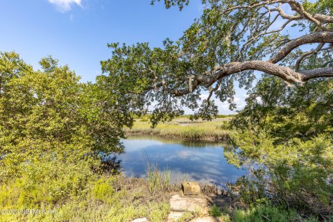 Land in Saint Augustine, Florida № 767301 - photo 1