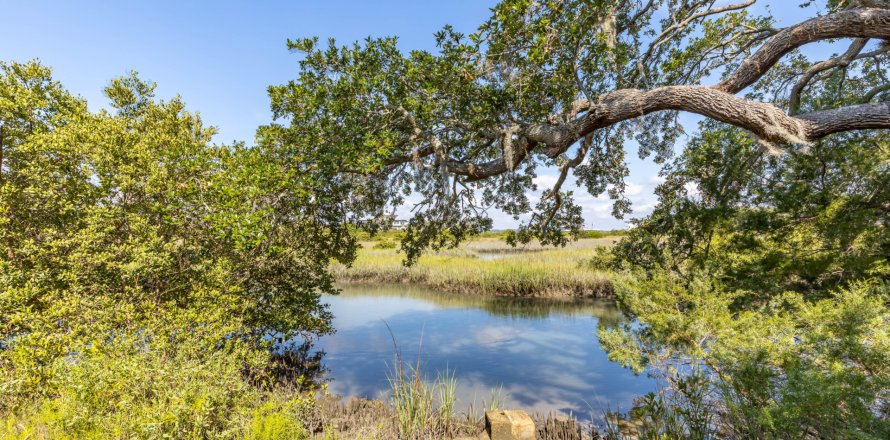 Land in Saint Augustine, Florida № 767301