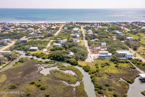 Land in Saint Augustine, Florida № 767301 - photo 14