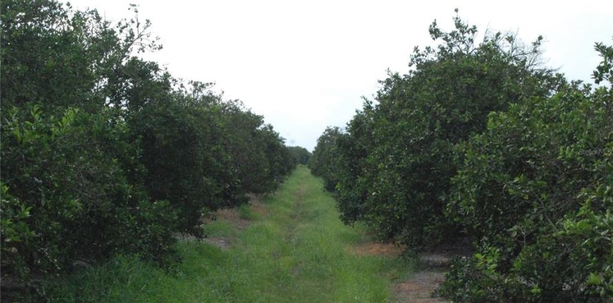 Terreno en Arcadia, Florida № 1350590