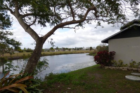 Terrain à vendre à Punta Gorda, Floride № 937900 - photo 14