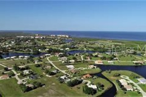 Terrain à vendre à Punta Gorda, Floride № 937900 - photo 5