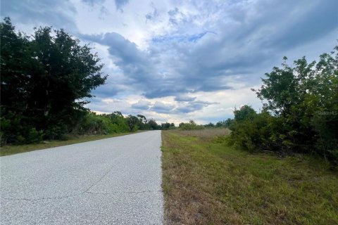 Land in Port Charlotte, Florida № 1309122 - photo 2