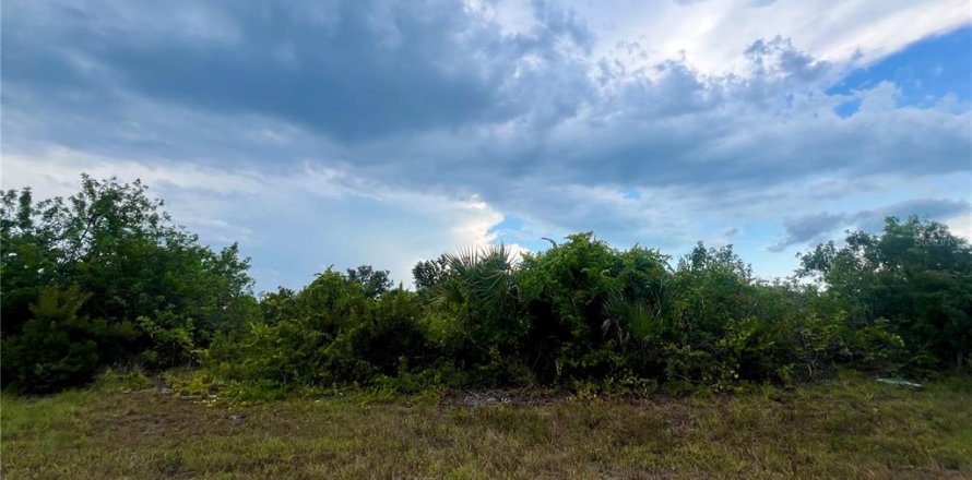 Terrain à Port Charlotte, Floride № 1309122