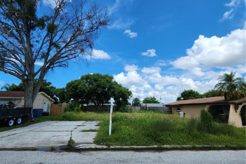 Terreno en venta en Holiday, Florida № 1352545 - foto 12