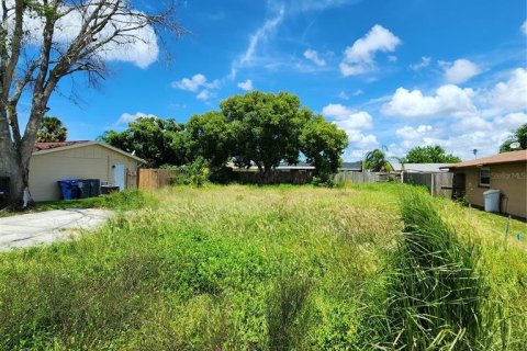 Terreno en venta en Holiday, Florida № 1352545 - foto 4