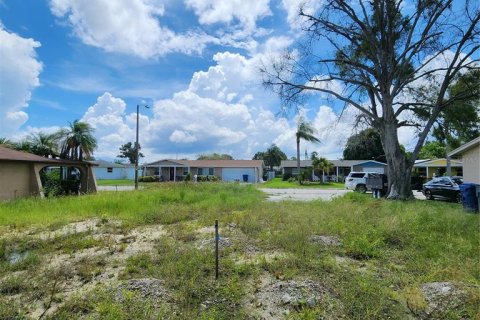 Terreno en venta en Holiday, Florida № 1352545 - foto 7