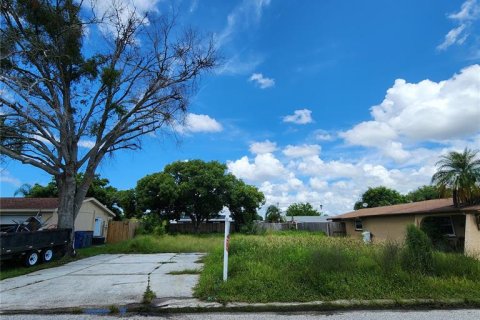 Terreno en venta en Holiday, Florida № 1352545 - foto 2