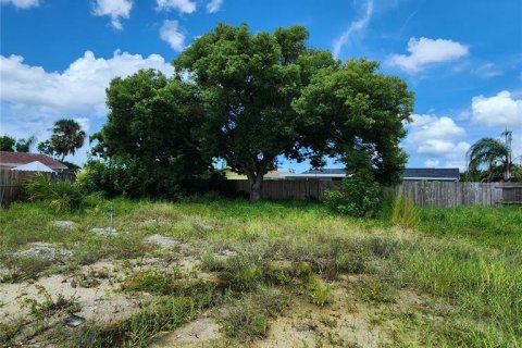 Terreno en venta en Holiday, Florida № 1352545 - foto 10