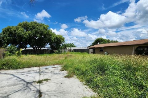 Terreno en venta en Holiday, Florida № 1352545 - foto 5