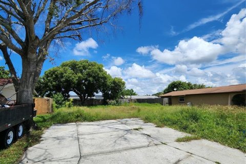 Terreno en venta en Holiday, Florida № 1352545 - foto 3