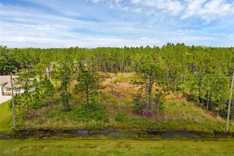 Terreno en venta en Orlando, Florida № 1386785 - foto 2