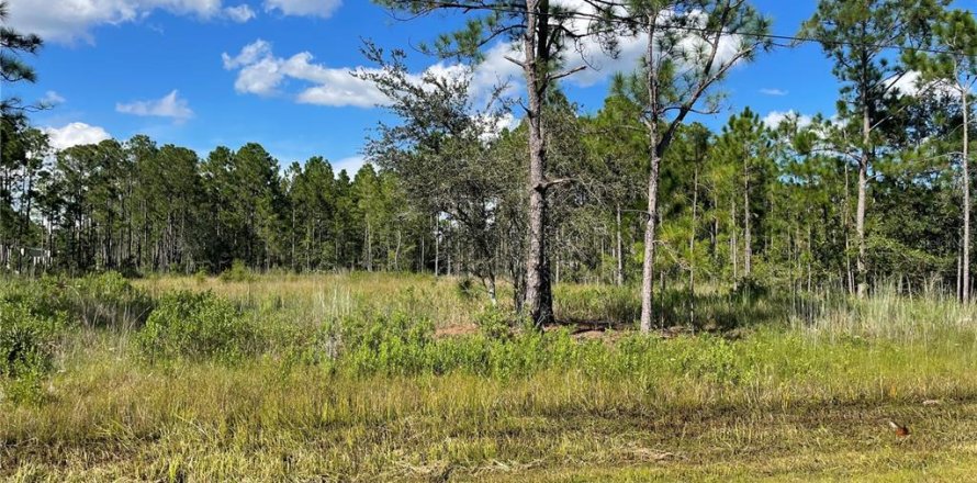 Terrain à Orlando, Floride № 1386785