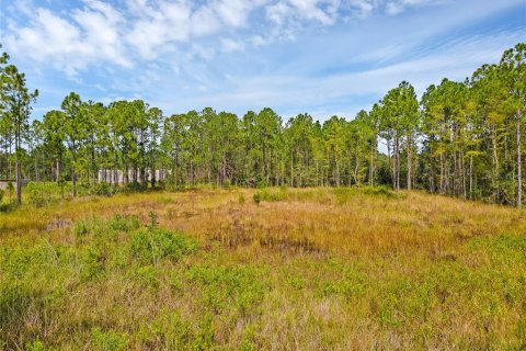 Terreno en venta en Orlando, Florida № 1386785 - foto 4