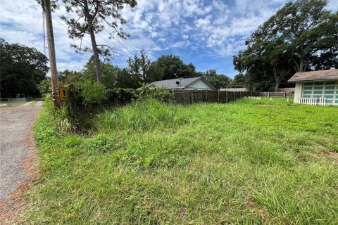 Terreno en venta en Ocala, Florida № 1335843 - foto 8