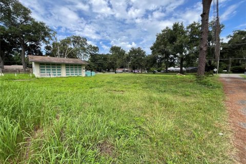 Terreno en venta en Ocala, Florida № 1335843 - foto 9