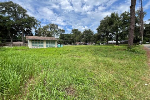 Terreno en venta en Ocala, Florida № 1335843 - foto 10