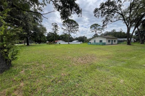 Terreno en venta en Ocala, Florida № 1335843 - foto 3