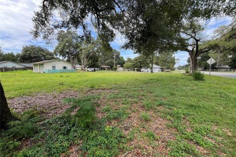 Terrain à vendre à Ocala, Floride № 1335843 - photo 4