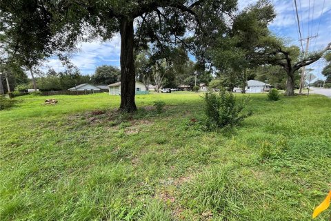 Terreno en venta en Ocala, Florida № 1335843 - foto 6