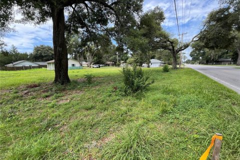 Terreno en venta en Ocala, Florida № 1335843 - foto 5