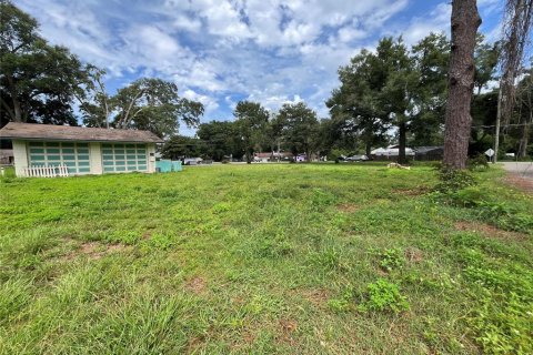 Terreno en venta en Ocala, Florida № 1335843 - foto 7