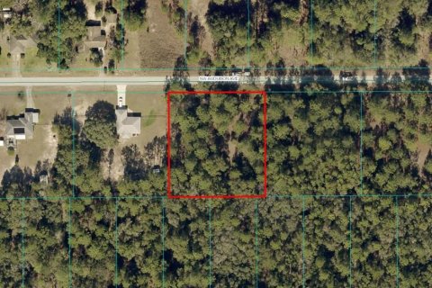 Land in Dunnellon, Florida № 1347574 - photo 1